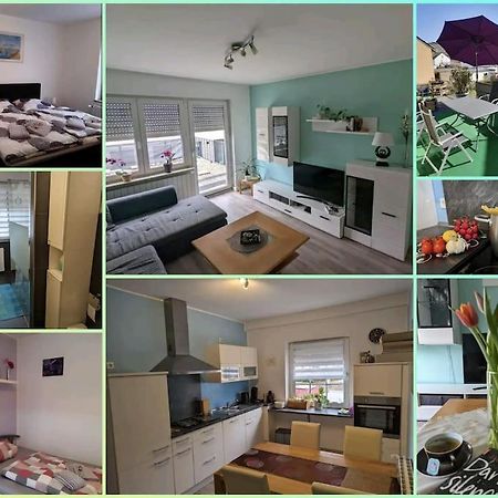 Ferienwohnung Philippi - Moselblick Mit Grosser Dachterrasse, 75 Qm, Hunde Willkommen Mehring  Exterior photo